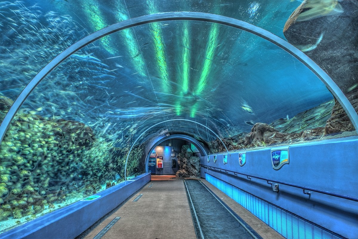 Georgia Aquarium - Gallery Image 1
